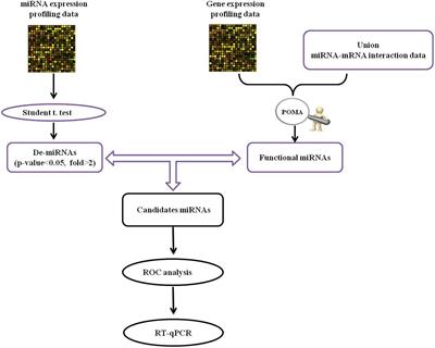 Elevated Plasma microRNA-105-5p Level in Patients With Idiopathic Parkinson’s Disease: A Potential Disease Biomarker